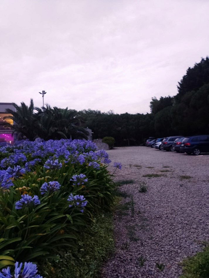 SE VENDE COMPLEJO DE CABAÑAS + DEPTOS + SPA + SALON DE FIESTAS. PLAYA CHAPADMALAL. MAR DEL PLATA