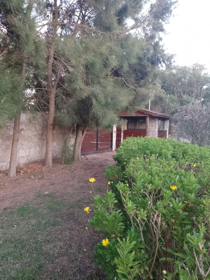 SE VENDE COMPLEJO DE CABAÑAS + DEPTOS + SPA + SALON DE FIESTAS. PLAYA CHAPADMALAL. MAR DEL PLATA