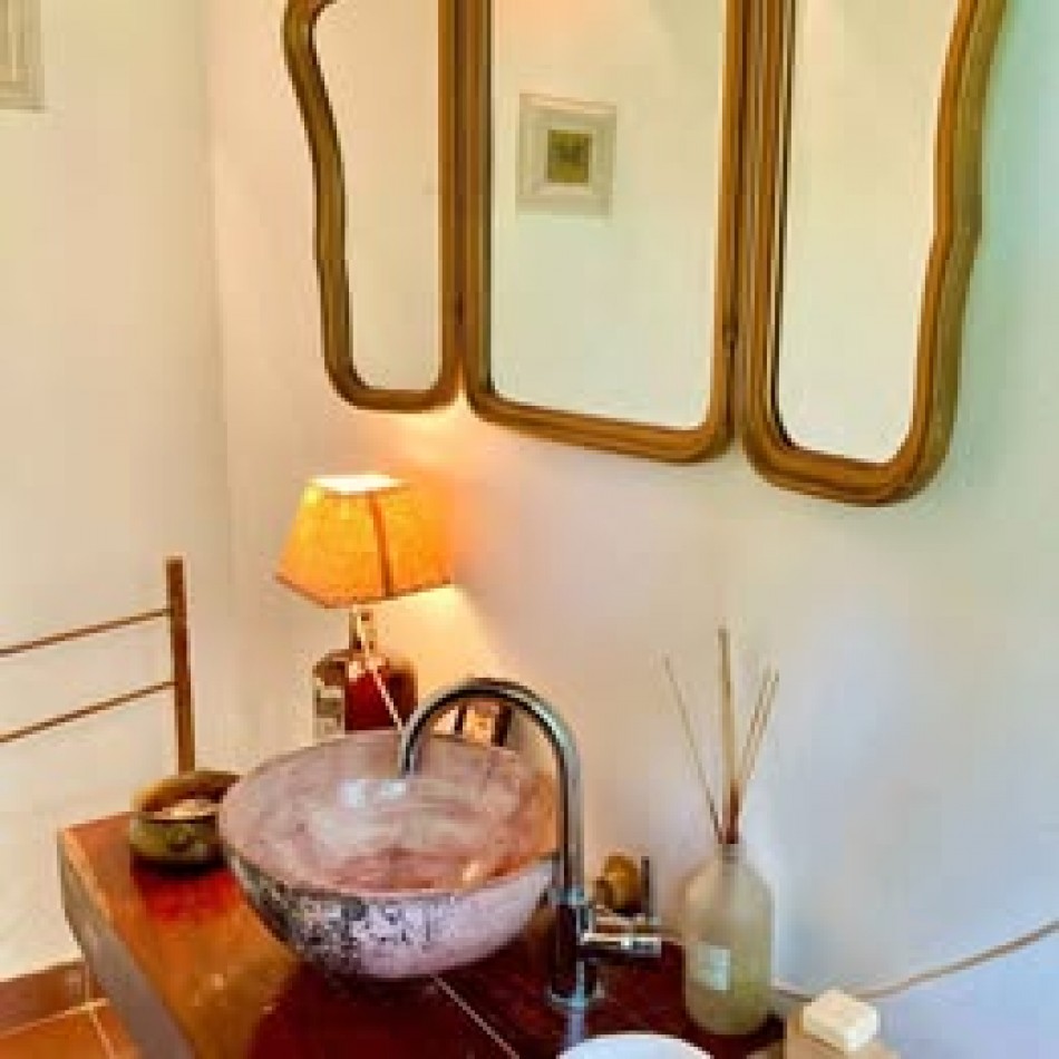 SE VENDE ESTANCIA UNICA DE 11 HRAS - CLORINDO TESTA. CAPITAN SARMIENTO. BUENOS AIRES